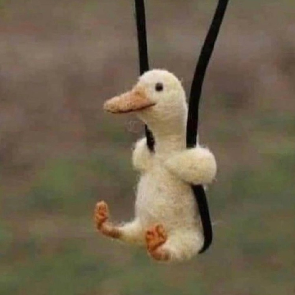 Meet your Posher, Annika